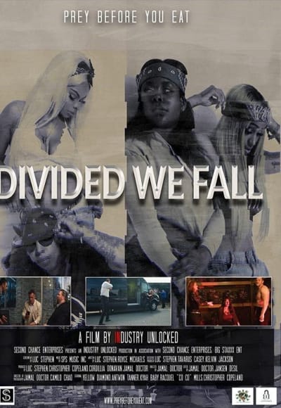 Divided We Fall