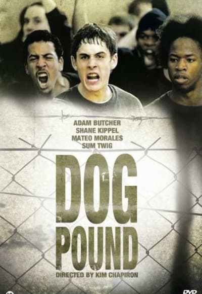 Dog Pound