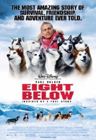 Eight Below