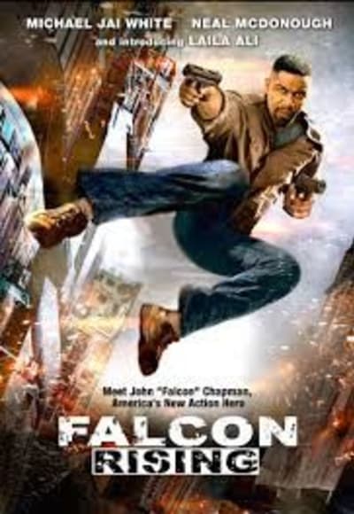 Falcon Rising