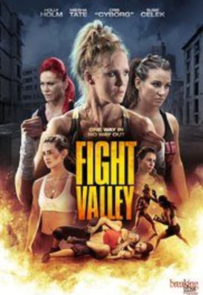 Fight Valley