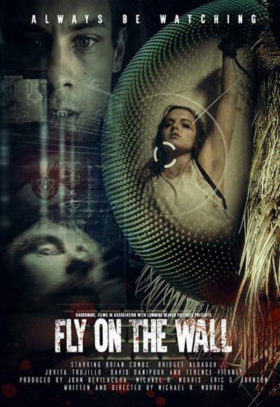 Fly On The Wall