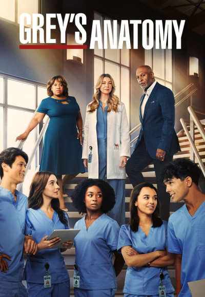 Grey's Anatomy - Season 20