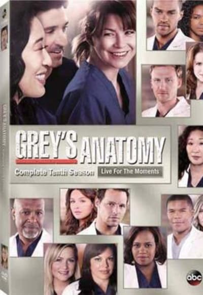 Greys Anatomy - Season 10