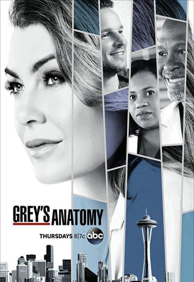 Greys Anatomy - Season 15