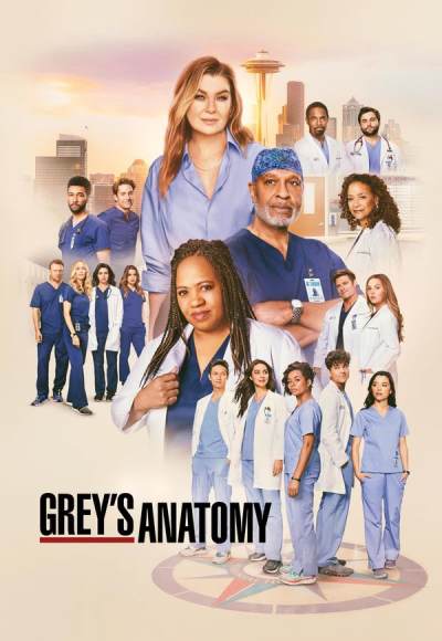 Grey's Anatomy - Season 21