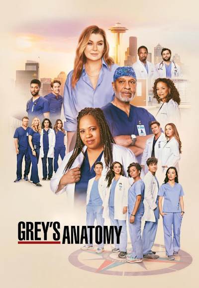 Grey's Anatomy - Season 22