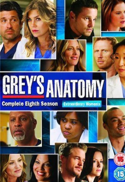 Greys Anatomy - Season 8