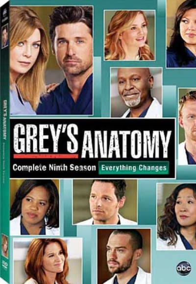 Greys Anatomy - Season 9