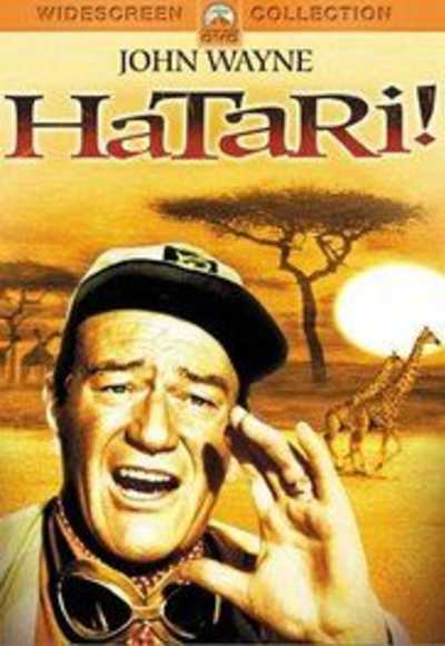 Hatari!