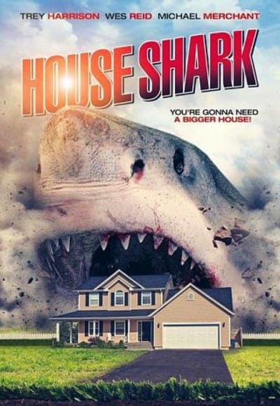 House Shark