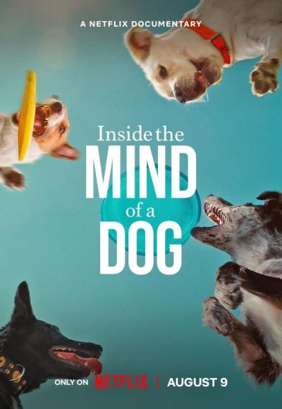 Inside the Mind of a Dog