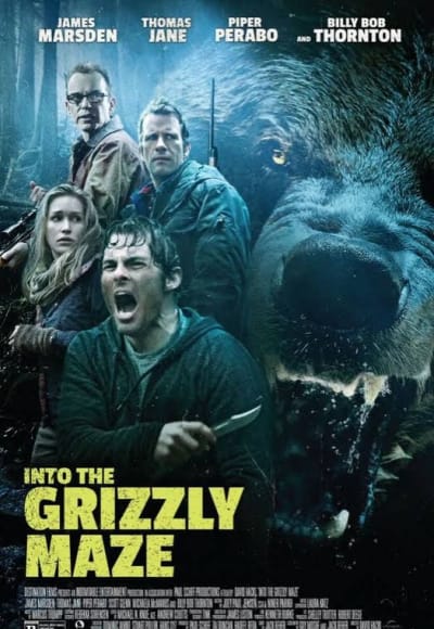 Into the Grizzly Maze