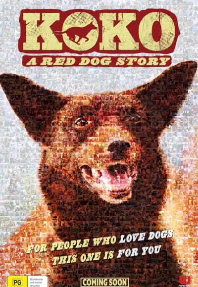 Koko: A Red Dog Story