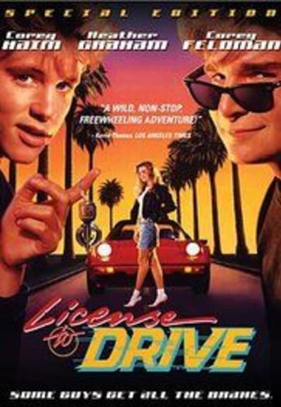 License to Drive