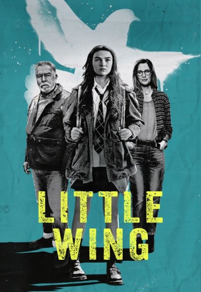 Little Wing