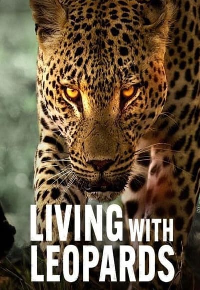 Living with Leopards