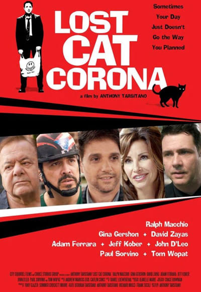 Lost Cat Corona