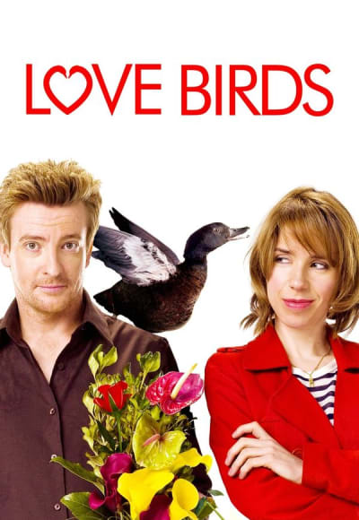 Love Birds