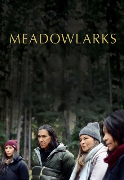 Meadowlarks