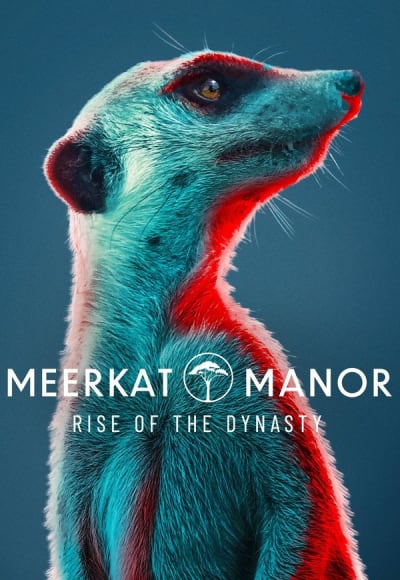 Meerkat Manor: Rise of the Dynasty - Season 1