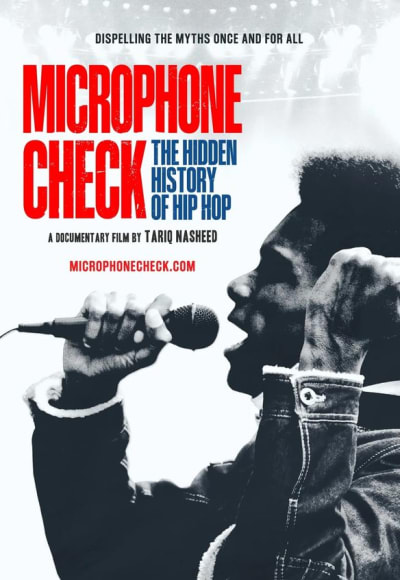 Microphone Check