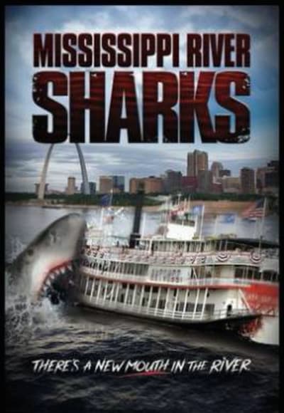 Mississippi River Sharks