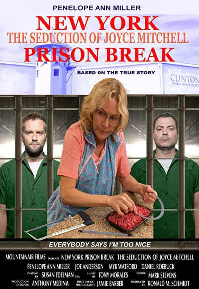 New York Prison Break the Seduction of Joyce Mitchell