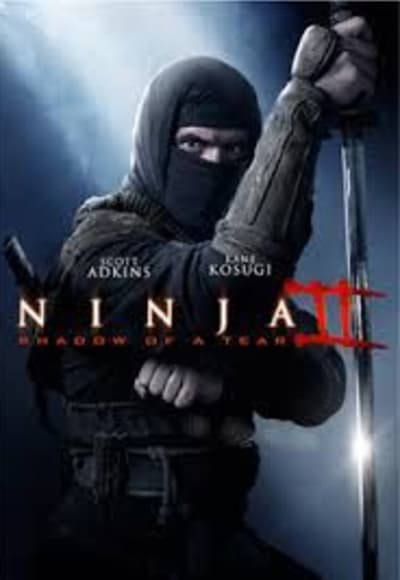 Ninja: Shadow Of A Tear