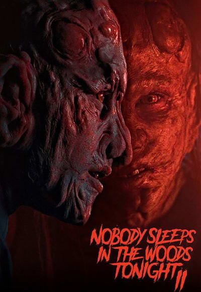 Nobody Sleeps in the Woods Tonight 2