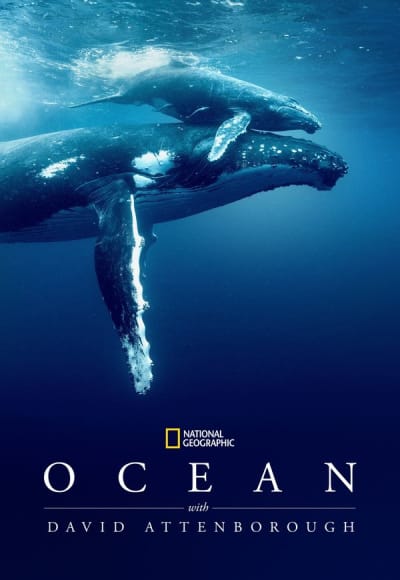 Ocean with David Attenborough