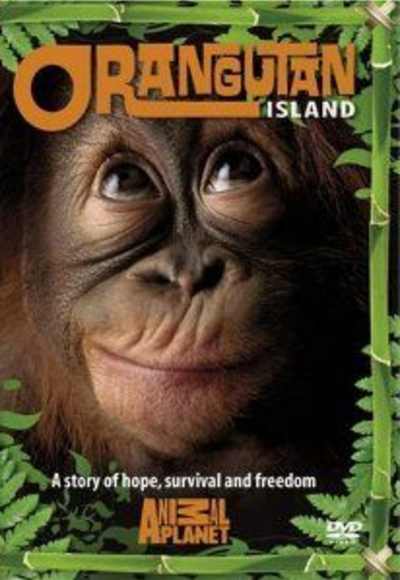 Orangutan Island - Season 1