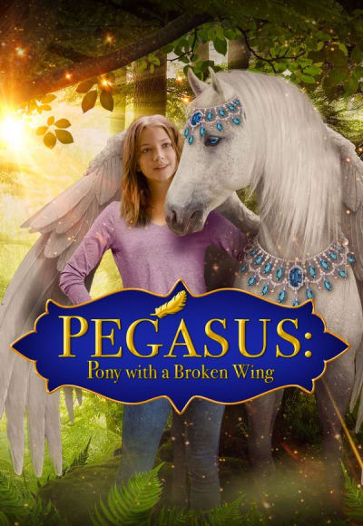 Pegasus: Pony With a Broken Wing