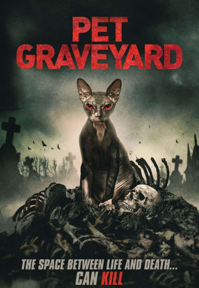 Pet Graveyard