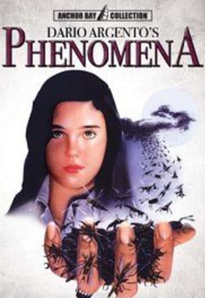 Phenomena