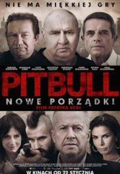 Pitbull New orders