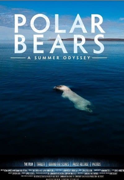 Polar Bears: A Summer Odyssey