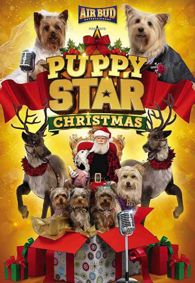 Puppy Star Christmas