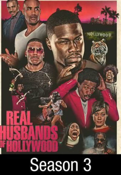 Real Husbands of Hollywood - Season 3