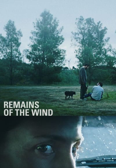 Remains of the Wind
