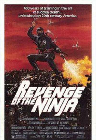 Revenge of the Ninja