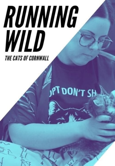 Running Wild: The Cats of Cornwall