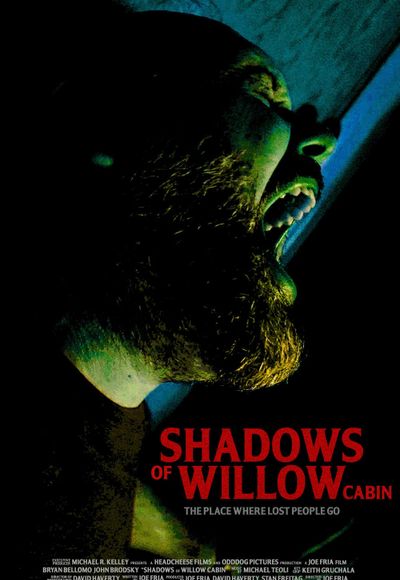 Shadows of Willow Cabin