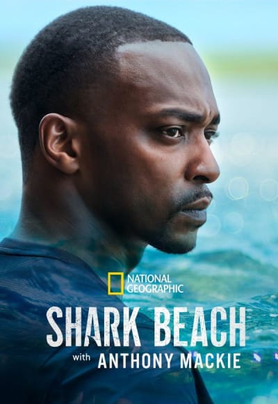 Shark Beach with Anthony Mackie