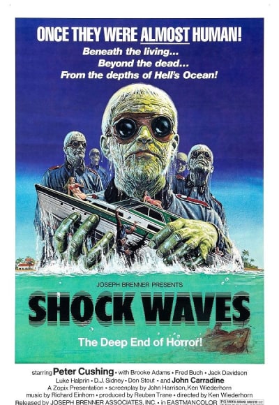 Shock Waves