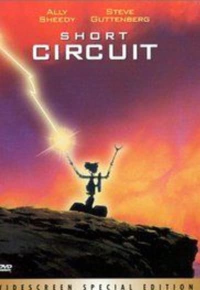 Short Circuit