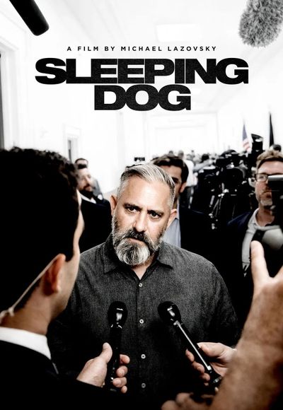 Sleeping Dog