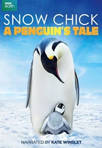 Snow Chick: A Penguin's Tale