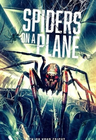 Spiders on a Plane