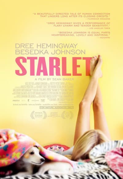 Starlet